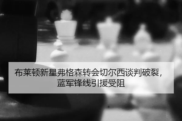 bu-lai-dun-xin-xing-fu-ge-sen-zhuan-hui-qie-er-xi-tan-pan-po-lie-lan-jun-feng-xian-yin-yuan-shou-zu-3-257.jpg