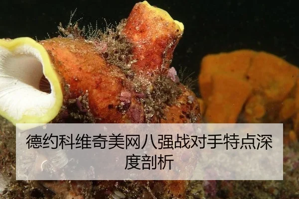 德约科维奇美网八强战对手特点深度剖析
